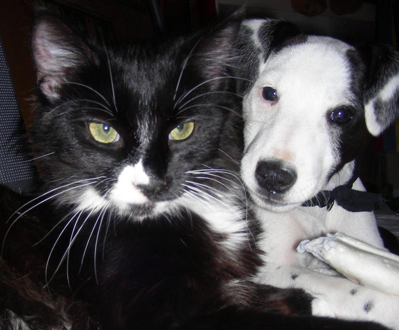 Harley-Jack & Emily
